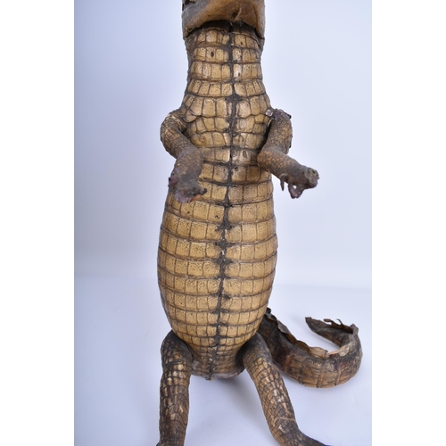 77 - A large early 20th century taxidermy crocodile / caiman in upright position for shop window advertis... 