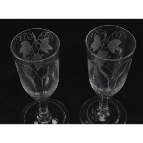 91 - A pair of 18th century plain stem ale glasses. Each glass engraved with hop flower and barley ears r... 