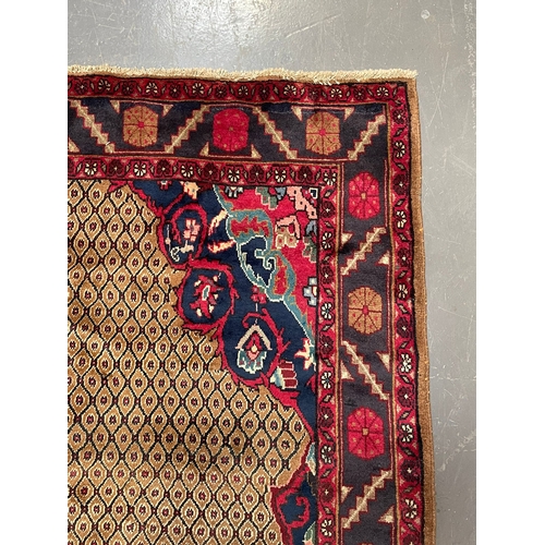 58 - An early 20th century North East Persian Islamic Kurdie floor carpet rug. The rug having a central f... 