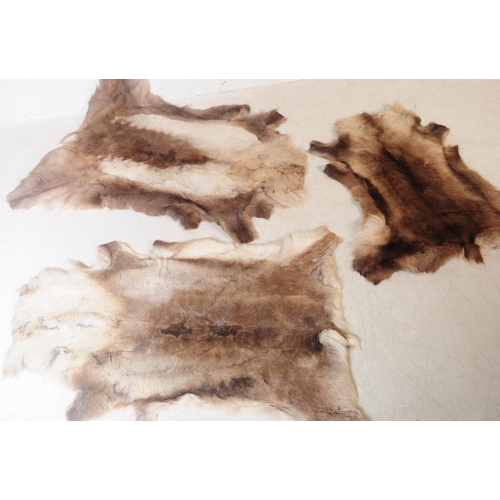 568 - A collection of five vintage retro mid 20th century reindeer skins / pelts / floor rugs. Largest mea... 