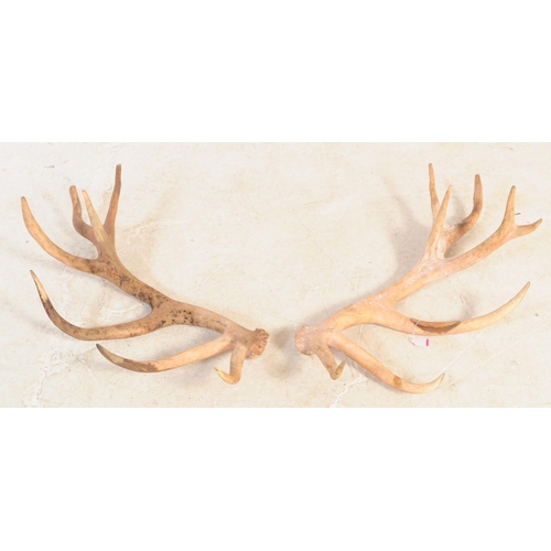 733 - Taxidermy - A pair of seven / eight point Sambar deer antlers. Largest measures approx 70cm x 45cm.