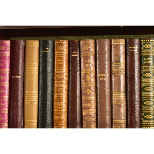 2 - A collection of twenty faux library book spines. The book spines removed from original 19th century ... 