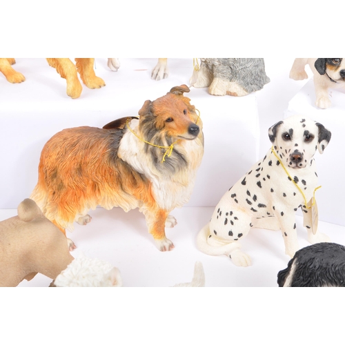 314 - A large collection of twenty unboxed dog study figurines by 'The Leonardo Collection' and others. To... 