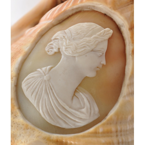 380 - An early 20th century carved cameo seashell - Cypraecassis rufa. Having a carved silhouette cameo. 8... 