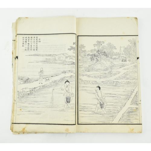 75 - A Qing Guangxu period 19th century 1879 Agriculture illustrated block printed book on the subject of... 