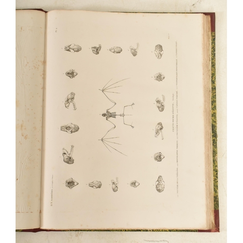 80 - 1813 - Description De L'Egypte Histoire Naturelle Volume 1 - Geoffory St Hilaire. An early 19th cent... 