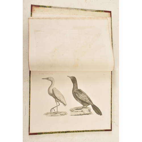 80 - 1813 - Description De L'Egypte Histoire Naturelle Volume 1 - Geoffory St Hilaire. An early 19th cent... 