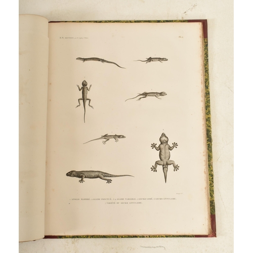 80 - 1813 - Description De L'Egypte Histoire Naturelle Volume 1 - Geoffory St Hilaire. An early 19th cent... 