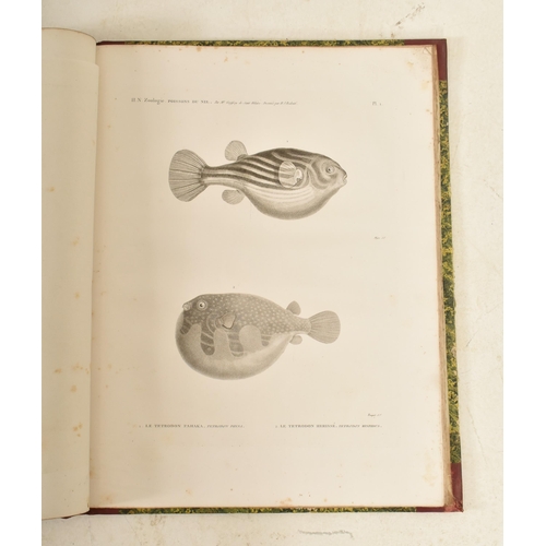 80 - 1813 - Description De L'Egypte Histoire Naturelle Volume 1 - Geoffory St Hilaire. An early 19th cent... 