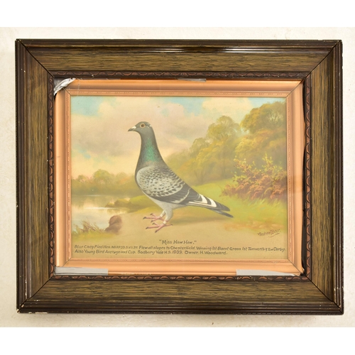 376 - Andrew Beer (1862-1954) A 20th century oil on board painting to depict a racing pigeon on a riversid... 