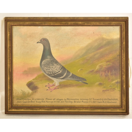 377 - Andrew Beer (1862-1954) - A 20th century oil on board painting to depict a racing pigeon on cliffsid... 