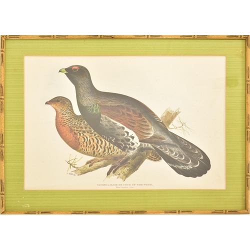 499 - Edward Lear - A selection of six 20th century framed and glazed coloured book plates from a folio of... 