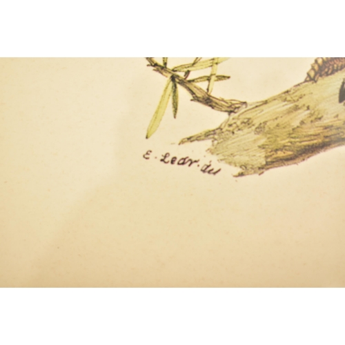 499 - Edward Lear - A selection of six 20th century framed and glazed coloured book plates from a folio of... 