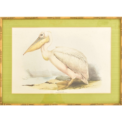 499 - Edward Lear - A selection of six 20th century framed and glazed coloured book plates from a folio of... 