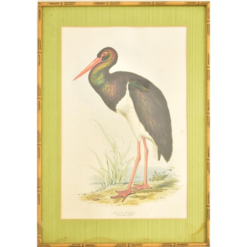 499 - Edward Lear - A selection of six 20th century framed and glazed coloured book plates from a folio of... 