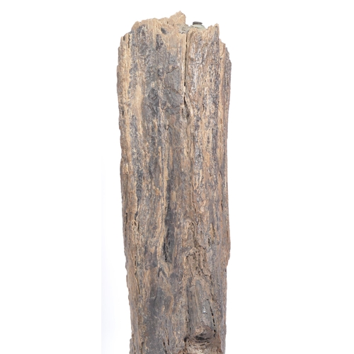 207 - Natural History - a large fragment of fossilised / petrified wood gifted in Libya to the vendor, pos... 