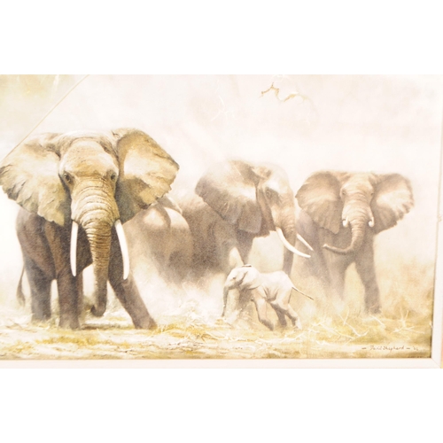 587 - David Shepherd - A large mid century 1962 print titled 'Elephants at Amboseli' by David Shepherd. Fr... 