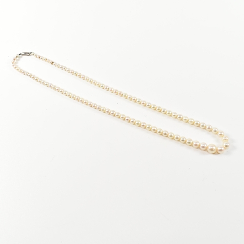 153 - A 9ct white gold and cultured pearl necklace. The single strand necklace strung with ninety five gra... 