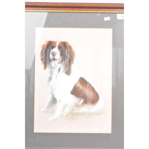 224 - A mid 20th century circa 1945 acrylic on board portrait of a spaniel dog painting. The painting depi... 