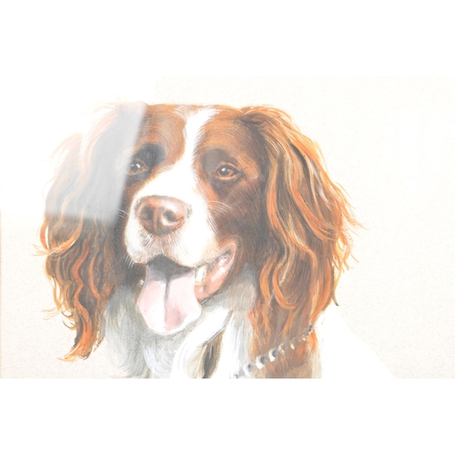 224 - A mid 20th century circa 1945 acrylic on board portrait of a spaniel dog painting. The painting depi... 