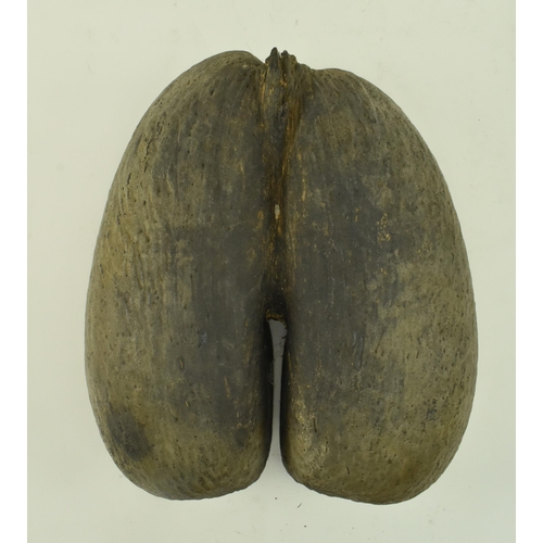 30 - An unpolished Coco de Mer (Lodoicea Maldivica) nut with cut top. Measures approx. 17cm x 33cm x 27cm... 