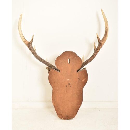 329 - Natural History Interest - A 19th century Scottish deer stag taxidermy head mounted upon a wooden pl... 