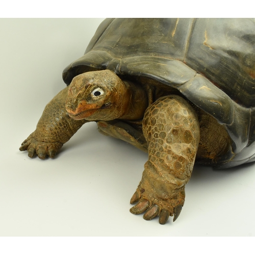 260 - Taxidermy - A 19th century Galapagos Giant Tortoise (Chelonoidis nigra) being in full mount, with ex... 