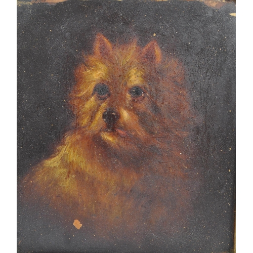 256 - Two Victorian 19th century oil on board paintings. Portrait of dogs including  West Highland White T... 