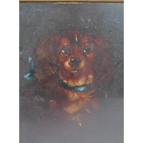 256 - Two Victorian 19th century oil on board paintings. Portrait of dogs including  West Highland White T... 