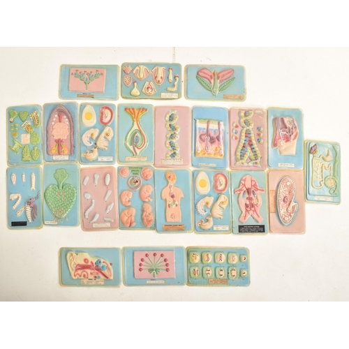 94 - Medical / Scientific - A large selection of vintage 20th century school / educational plastic panels... 