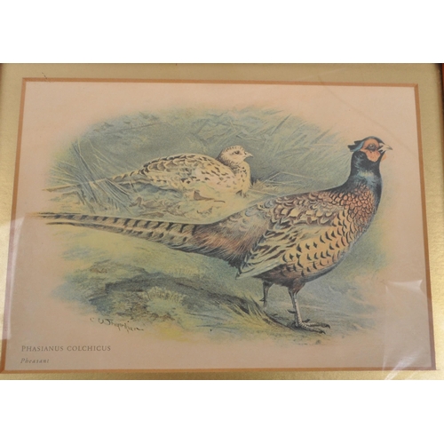 839 - Hunting interest - A collection of five 20th Century vintage maple framed and glazed game bird print... 