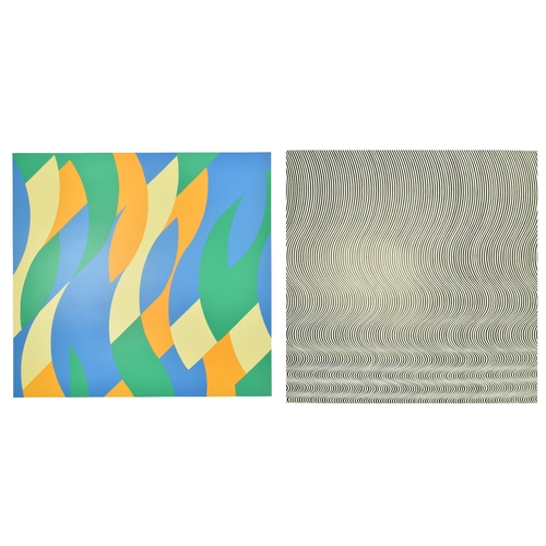 246 - After Bridget Riley (British, b. 1931) - Reve & Fall - Two vintage early 21st century Tate Gallery e... 