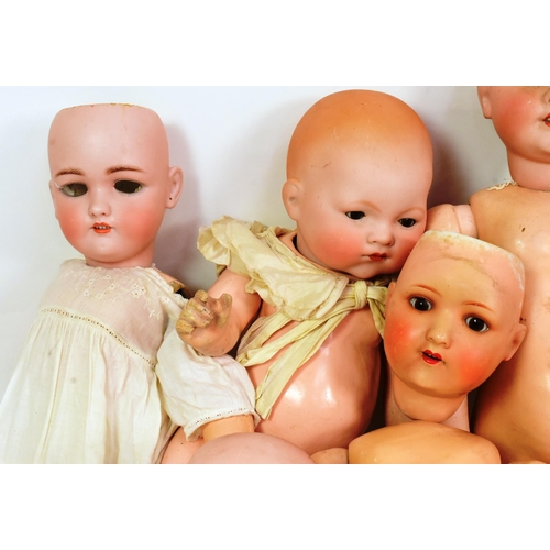 250 - Dolls - a collection of x9 vintage German bisque headed dolls to include; Armand Marseille, Heubach ... 