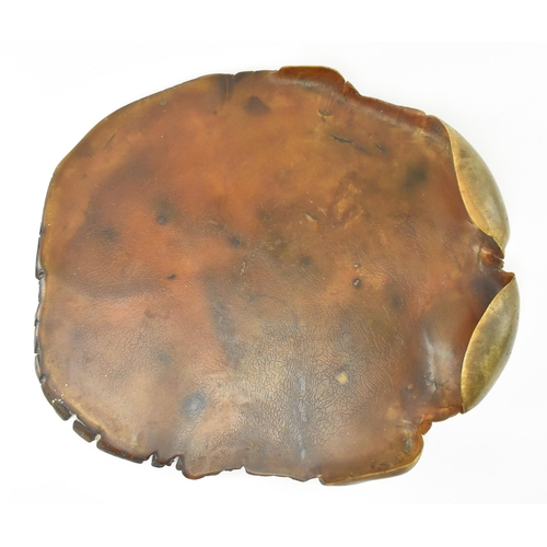 77 - A late 19th / early 20th century believed lacquered elephant's foot / sole. Measures approx. 6cm x 4... 