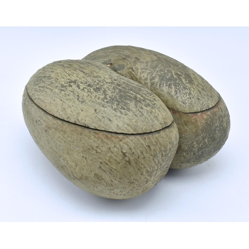 73 - An unpolished Coco de Mer (Lodoicea Maldivica) nut with cut top. Measures approx. 17cm x 33cm x 27cm... 