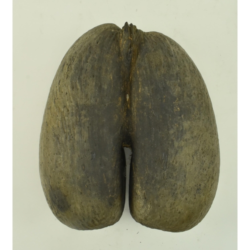 73 - An unpolished Coco de Mer (Lodoicea Maldivica) nut with cut top. Measures approx. 17cm x 33cm x 27cm... 