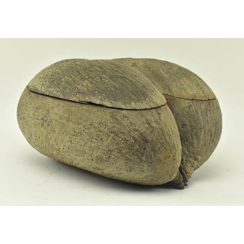 73 - An unpolished Coco de Mer (Lodoicea Maldivica) nut with cut top. Measures approx. 17cm x 33cm x 27cm... 