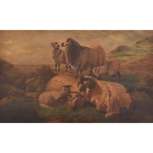 334 - A pair of early 20th century Edwardian oil on canvas paintings depicting Highland scenery. The lot c... 