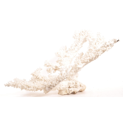 200A - A large piece of bleached branch coral. The coral white in colouring, with a series of branches.