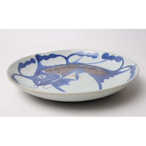 74 - A 19th century Chinese blue and white fish algae display plate. Depicting a leaping carp on a cerami... 