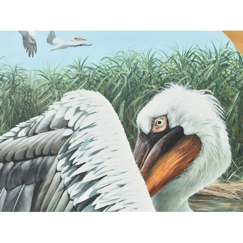 105 - Former Bristol Zoo Gardens - 'Dalmatian Pelican' - Susan Jane (1999) - oil on board painting of a Da... 