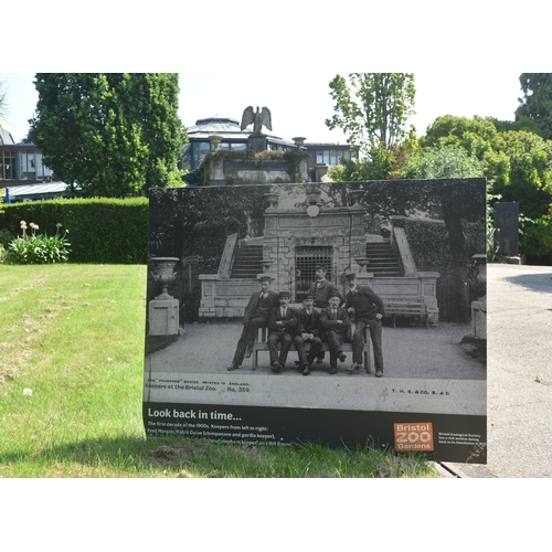 107 - Former Bristol Zoo Gardens - a large format enlarged photograph of ' Keepers At The Bristol Zoo,' ta... 