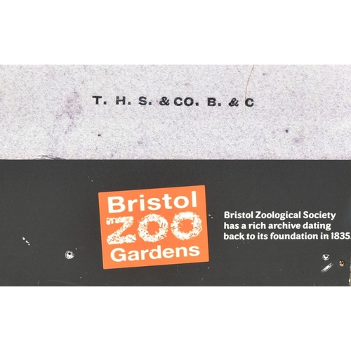 107 - Former Bristol Zoo Gardens - a large format enlarged photograph of ' Keepers At The Bristol Zoo,' ta... 