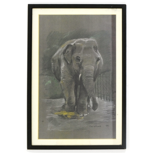 123 - Former Bristol Zoo Gardens - JM Williams (1995) - Wendy The Elephant - a pastel study of Bristol Zoo... 