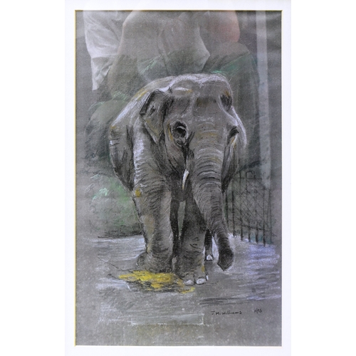 123 - Former Bristol Zoo Gardens - JM Williams (1995) - Wendy The Elephant - a pastel study of Bristol Zoo... 