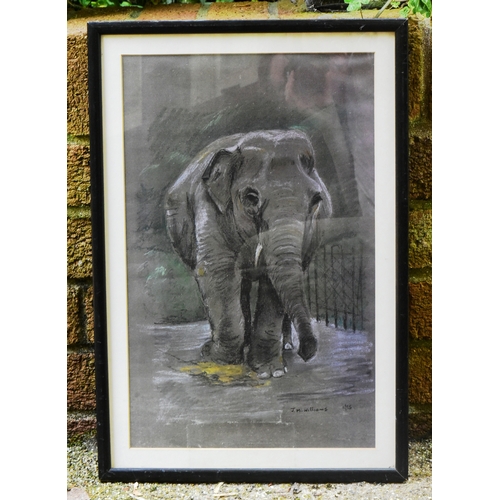 123 - Former Bristol Zoo Gardens - JM Williams (1995) - Wendy The Elephant - a pastel study of Bristol Zoo... 