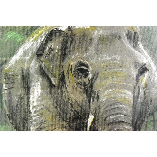 123 - Former Bristol Zoo Gardens - JM Williams (1995) - Wendy The Elephant - a pastel study of Bristol Zoo... 