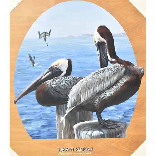 13 - Former Bristol Zoo Gardens - 'Brown Pelican' - Susan Jane (1998) - oil on board painting of a Brown ... 