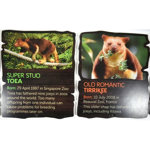 141 - Former Bristol Zoo Gardens - a collection of x7 original Tree Kangaroo animal enclosure signs. Inclu... 