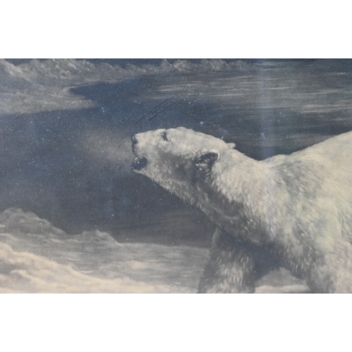 145 - Former Bristol Zoo Gardens - After Herbert Dicksee (1862-1942) - A Polar Night (1912) - etching depi... 